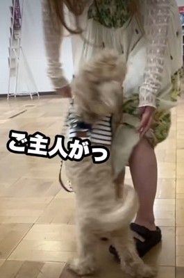 投稿主さんのもとへ