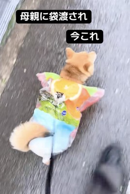 即席でカッパを作成！