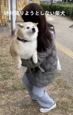 「絶対降りないからっ」