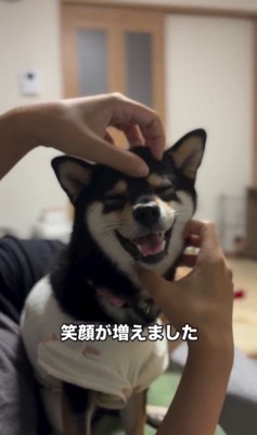 千幸ちゃんとご家族の1年間9