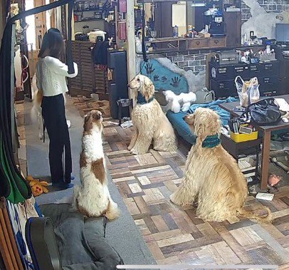 留守番を長女に任せたら…