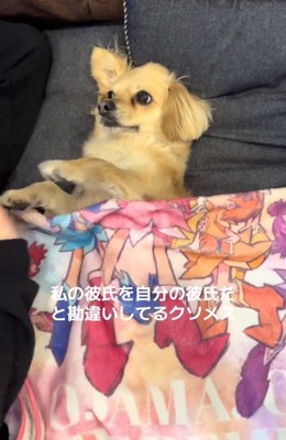 彼氏を見るワンコ