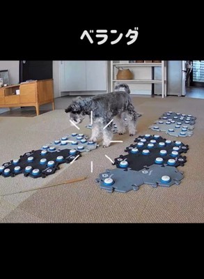 フーフーくんを気遣うモネちゃん7