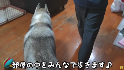 寝かしつけも一緒に…♡