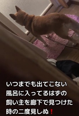 お風呂から出てこない