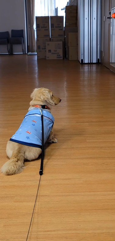 おばあちゃんに会いに来たラクちゃん4