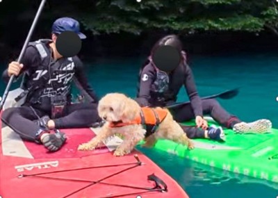 まさかのピンチ