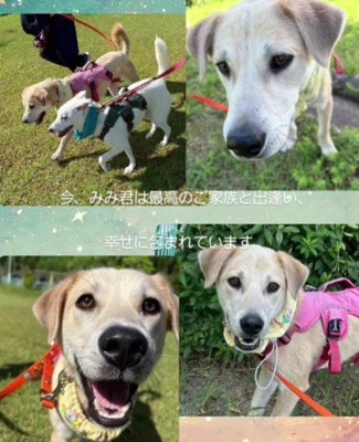 笑顔を見せてくれるように