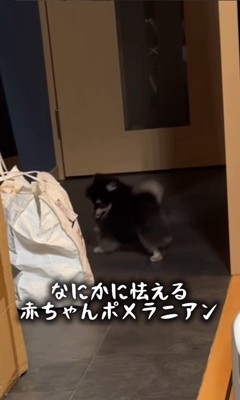 何かに怯えている?