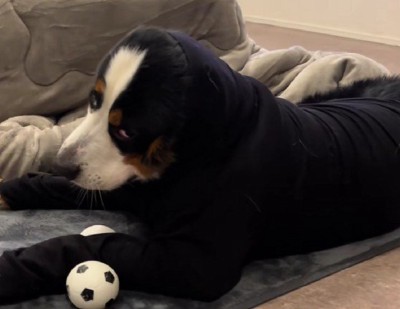 睨み顔がたまらない…♡