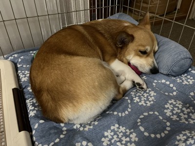 宝物を抱きしめて