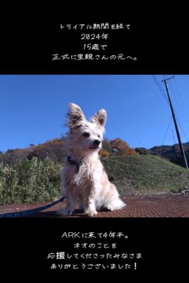 ネオくんが幸せを掴むまで⑩