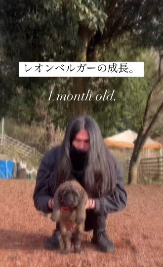 生後1ヶ月の子犬が、3年後…