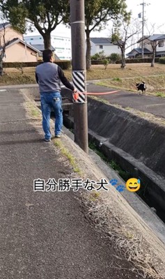 お父さんと定春くんのお散歩7