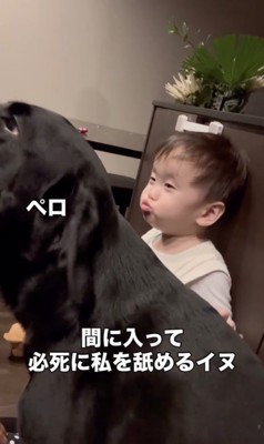 「そんなに怒らないであげて」