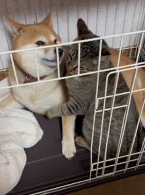 ゆずちゃんの愛情表現です♡