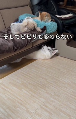 成長しても変わらず…