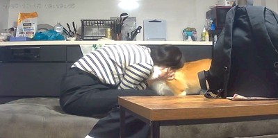 お留守番中のポムちゃん⑩