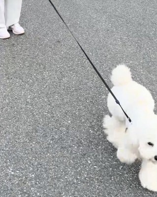 「おかえりー!」