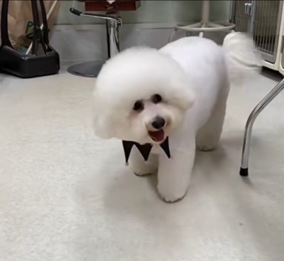 モンくんの成長9