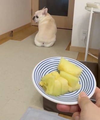 首を回して後ろを見る犬