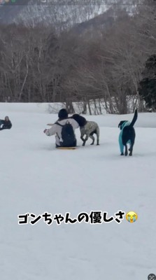 ゲレンデでソリに乗る女性