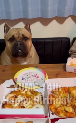 ラブちゃんの姿が!