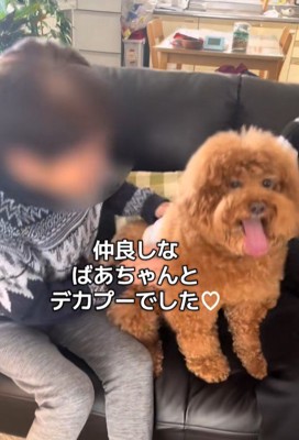 本当の祖母と孫のよう♡