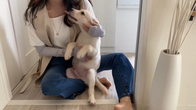 大好きな人との再会を喜ぶ虎丸くん7