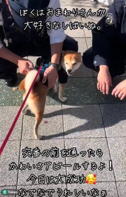 優しくナデナデしてくれた♡