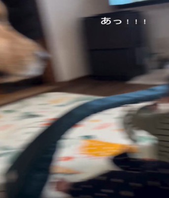 倒れる赤ちゃん1