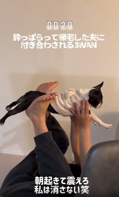 スーパーマンのようなしらこちゃん