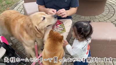 待ちに待ったおやつタイム♪