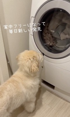 微動だにしない