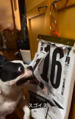 何枚もめくるマルタくん