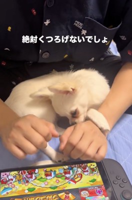 揺れがお気に入り？