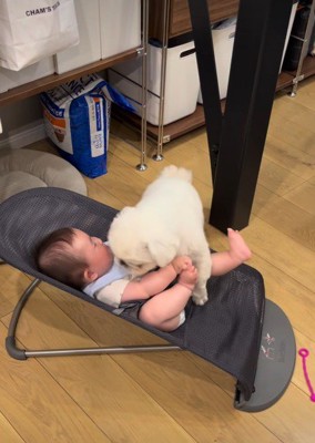赤ちゃんに乗っちゃった!