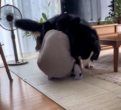 リンちゃんはジタバタ抵抗！