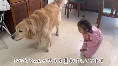 「パパを独り占めしないで!!」