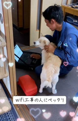 嬉しそうなモップさん