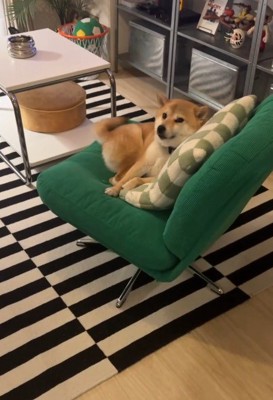 「そっちから来てね？」