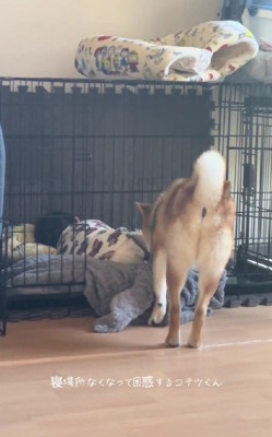 ケージに行ってみたら…