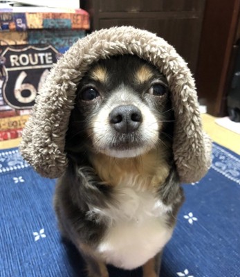 長い間頑張りました