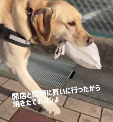 焼きたてのうちに届けたい♪