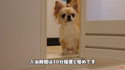 「早く上がって！」と催促