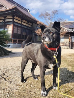 凛々しい姿が素敵！