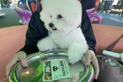 ちょっとだけ回してみます