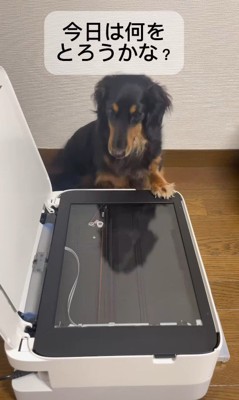 手形をコピーするえいと君