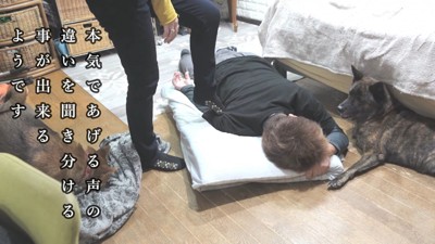 そばで見守ってくれています