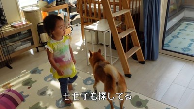 おもちゃを探す2人